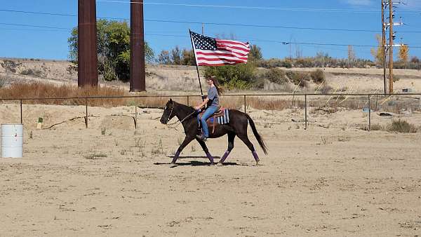 all-around-pony