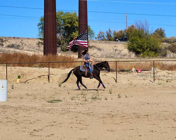 beginner-pony