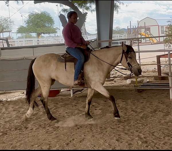 iqpa-quarter-pony-mare