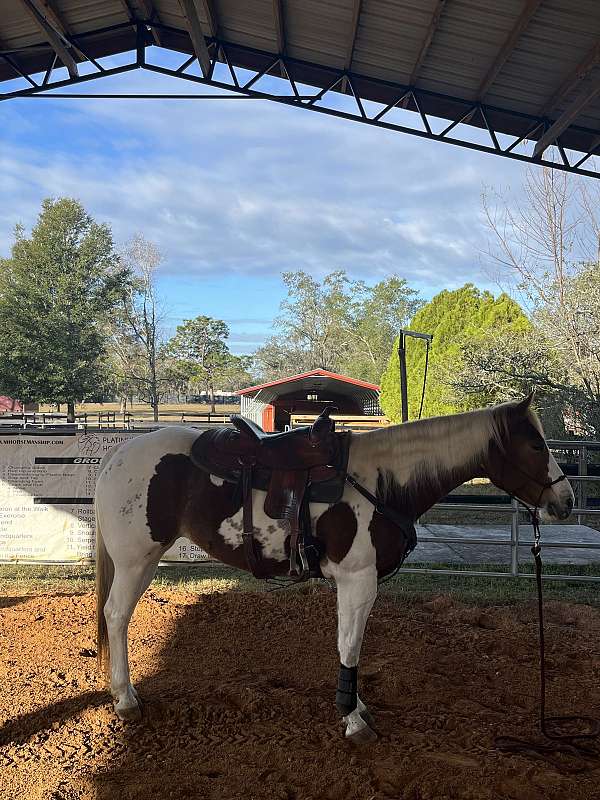 ride-a-mare
