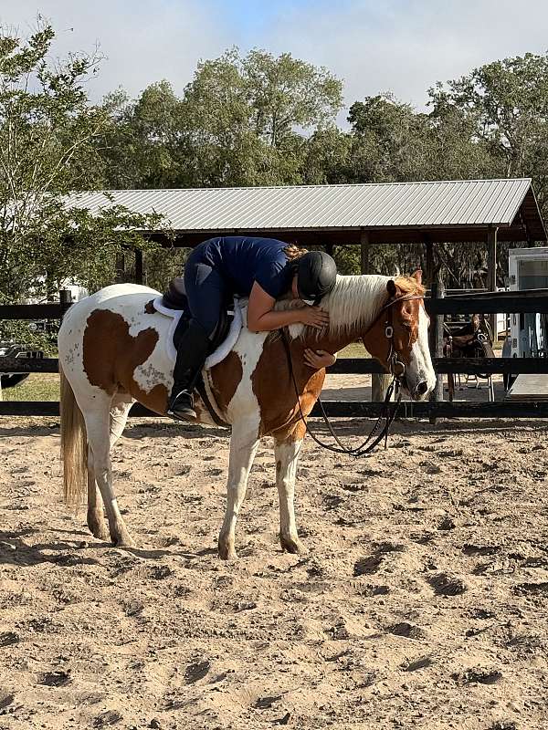 4-hand-tobiano-horse