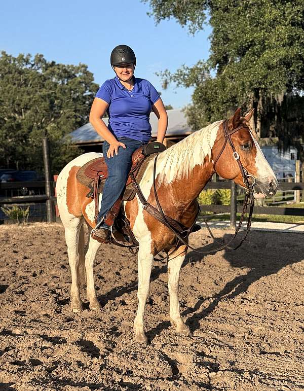 appointment-quarter-horse