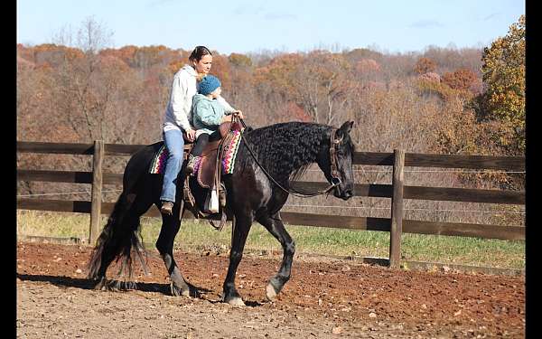 black-none-horse