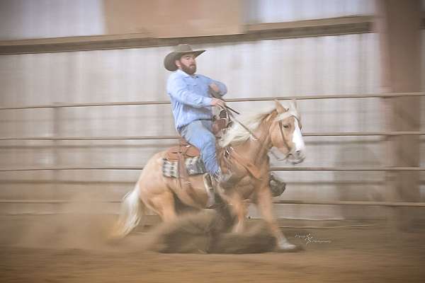 performance-pony