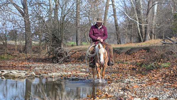 ranch-work-pony
