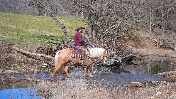 ranch-pony