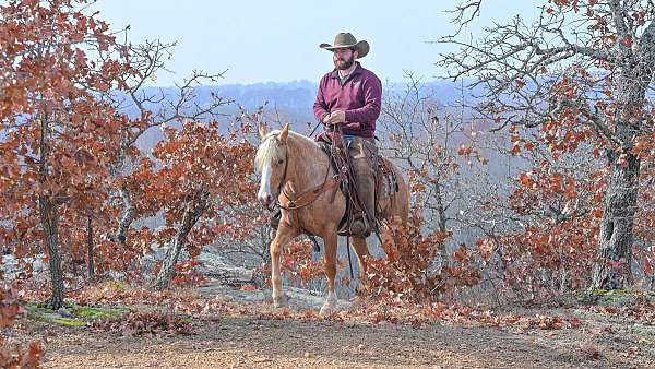 roping-pony