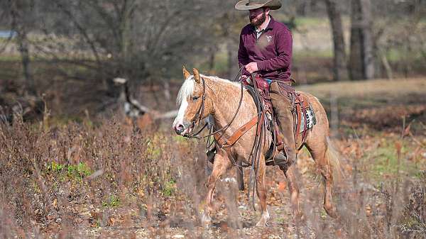 trail-pony