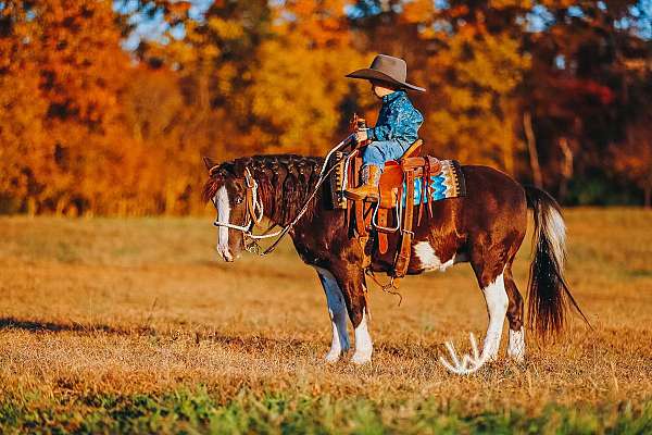 show-pony