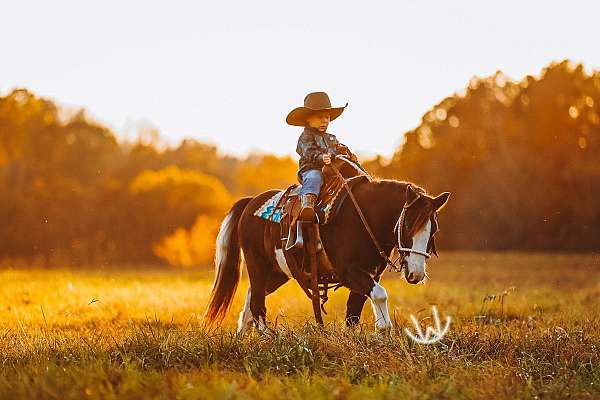 trail-pony