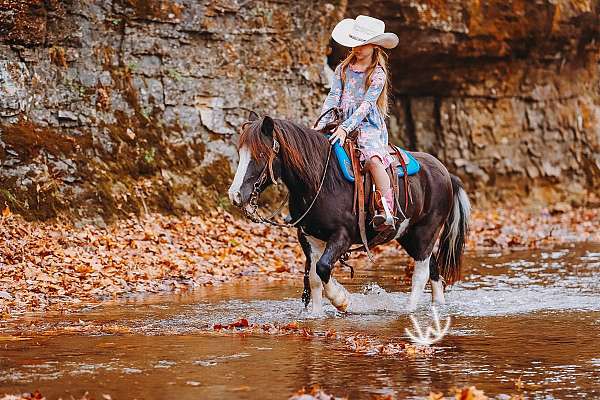 trail-riding-pony