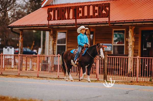 working-cattle-pony