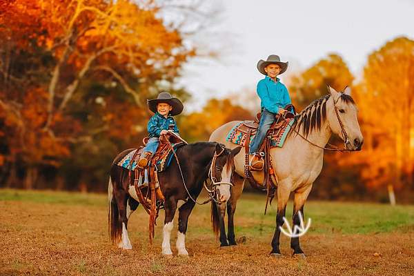 barrel-racing-quarter-pony