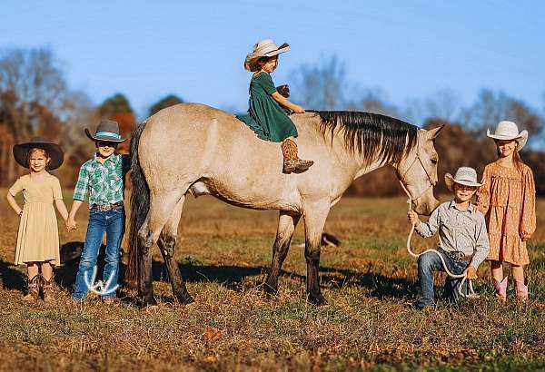 all-around-quarter-pony