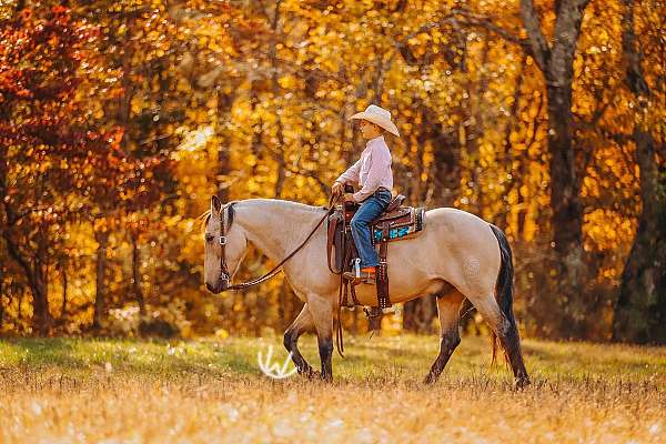 beginner-quarter-pony