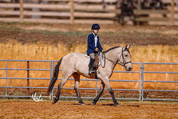 jumping-quarter-pony