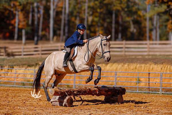 kid-safe-quarter-pony