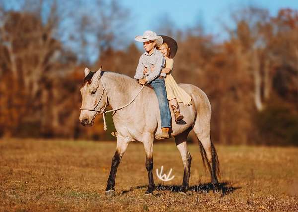 ranch-quarter-pony