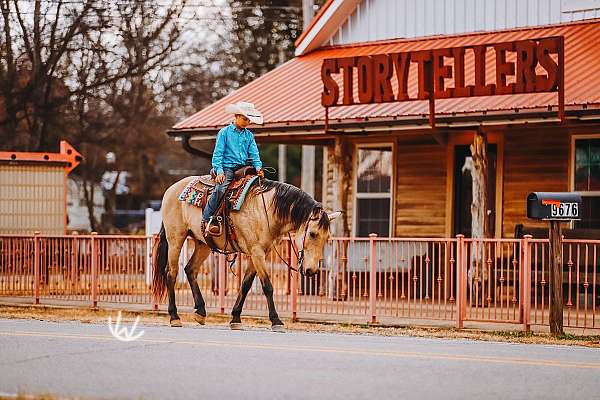 roping-quarter-pony
