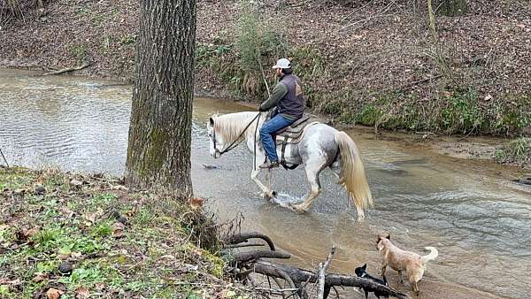 racking-horse