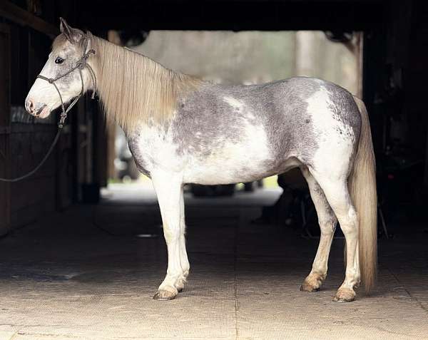 racking-mare