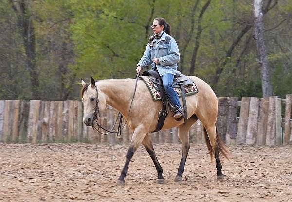 drill-team-quarter-horse