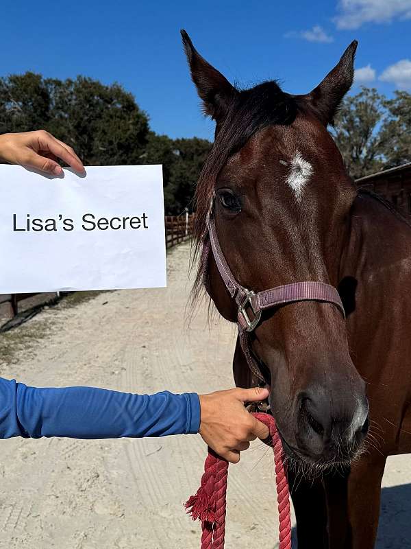secret-mare
