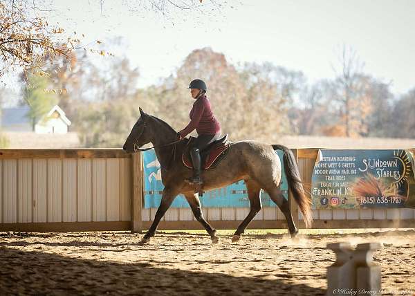 ranch-work-quarter-horse