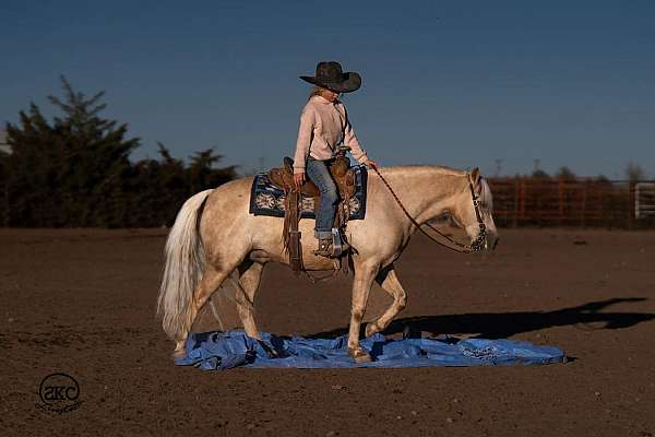 athletic-quarter-pony