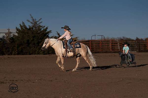 kid-safe-quarter-pony