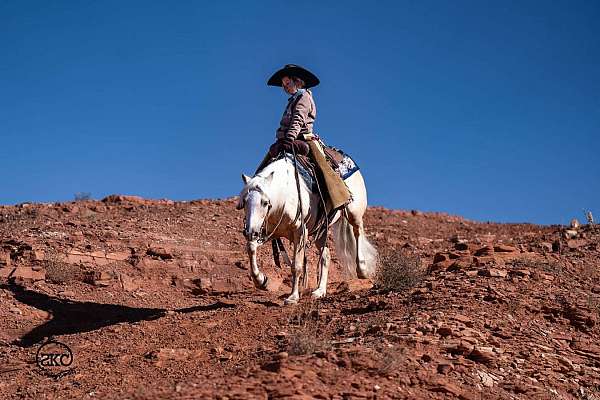trail-riding-quarter-pony