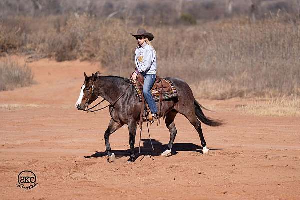 kid-safe-quarter-horse