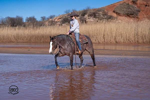 ridden-western-quarter-horse