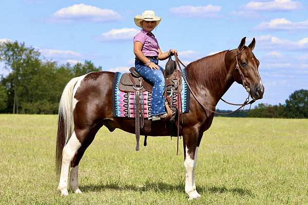 overo-therapy-horse