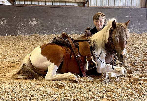 western-ridin-pony