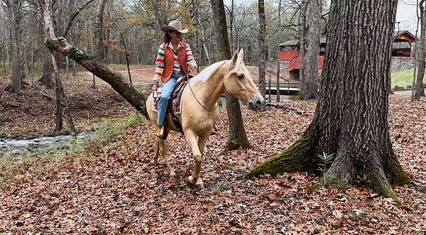 twhbea-tennessee-walking-horse