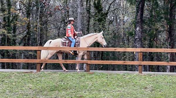 horse-for-sale-tennessee-walking