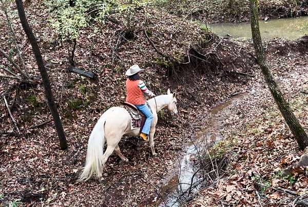 kid-friendly-horse-tennessee-walking