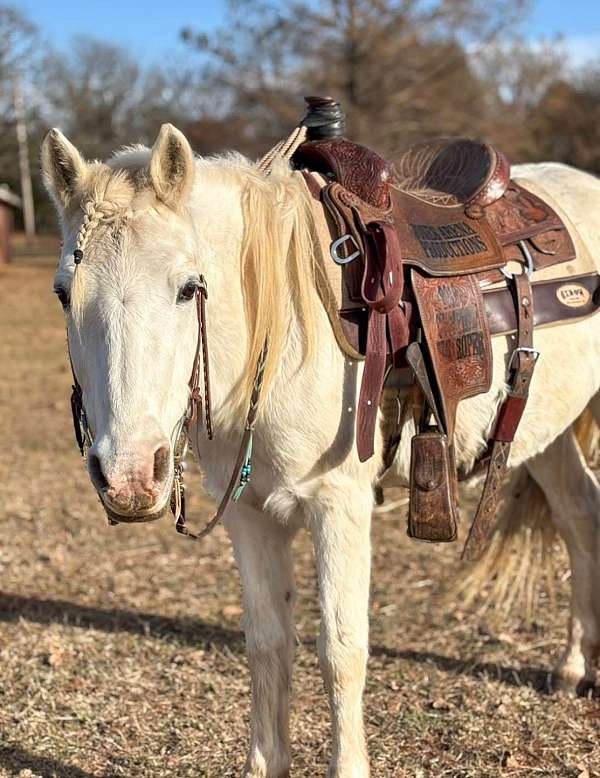 all-around-pony