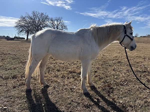 athletic-pony