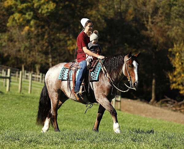 finished-gypsy-vanner-horse