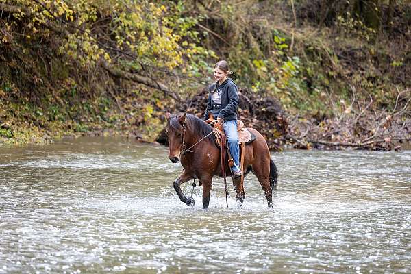 athletic-pony