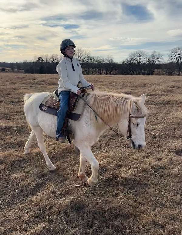 pony-mare