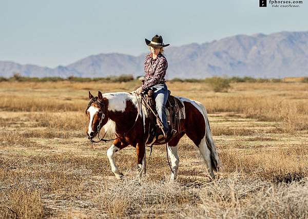 trail-horse-paint