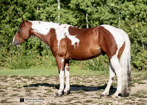 kids-horse-paint