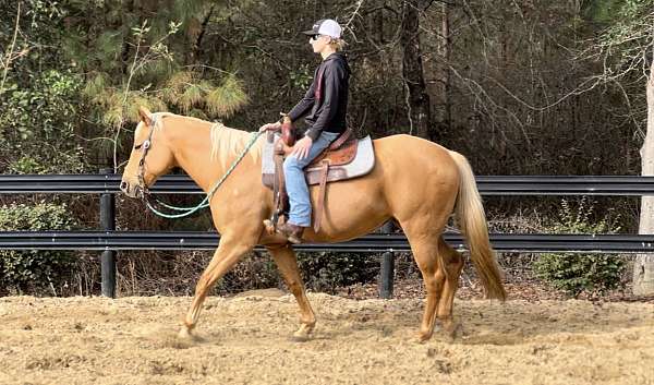 and-easy-to-handle-quarter-horse