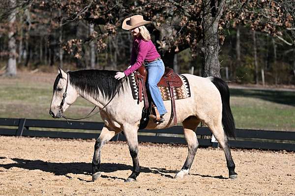 buckskin-quarter-horse