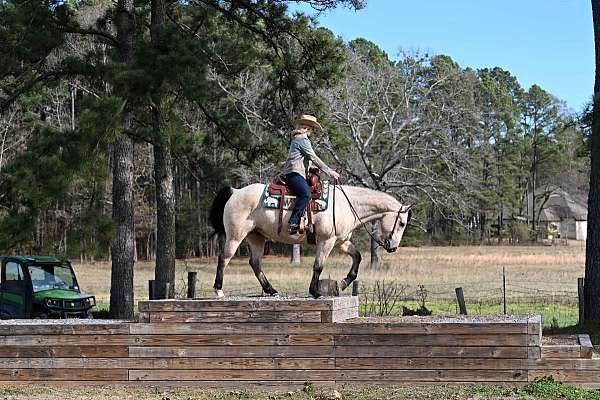gentle-quarter-horse