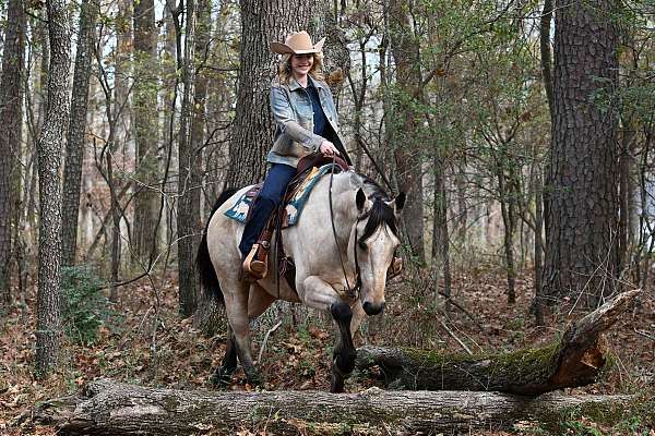 all-around-quarter-horse