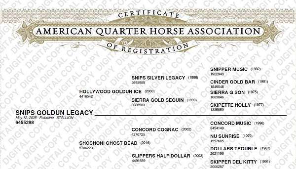 music-mount-quarter-horse